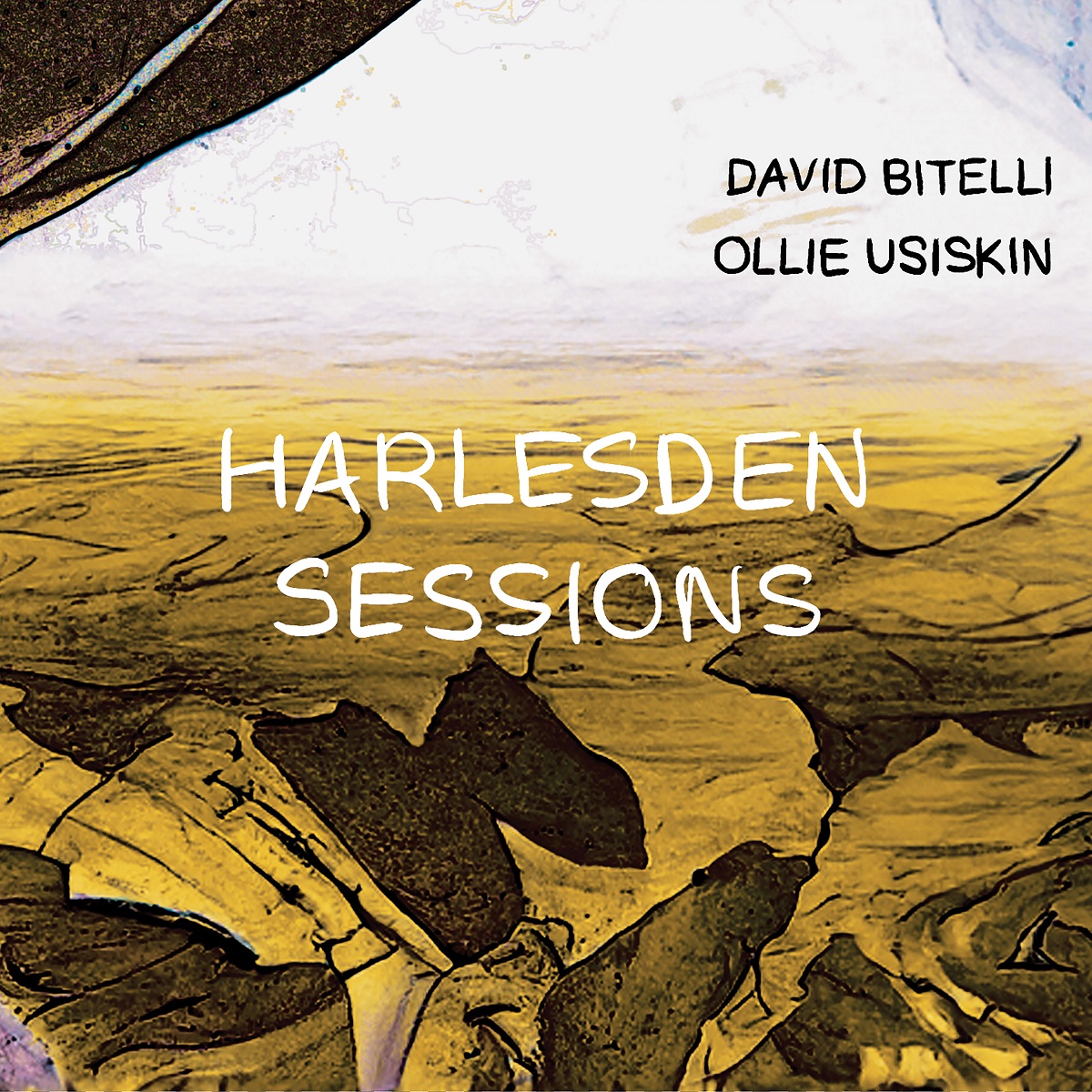 David Bitelli & Ollie Usiskin - Harlesden Sessions